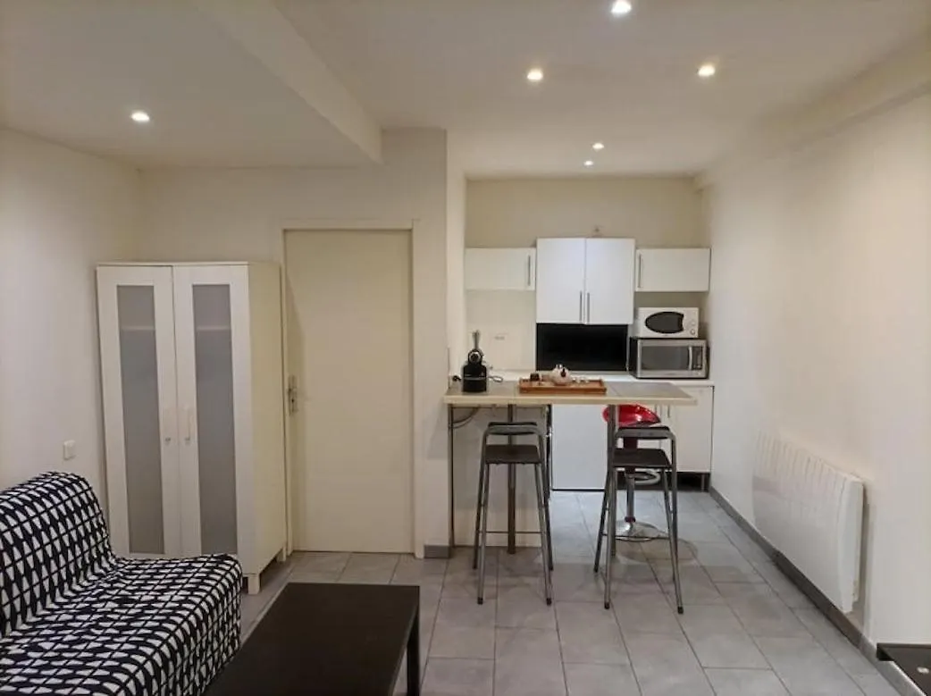 Apartment Charmant Studio A La Croix Rousse Avec Patio