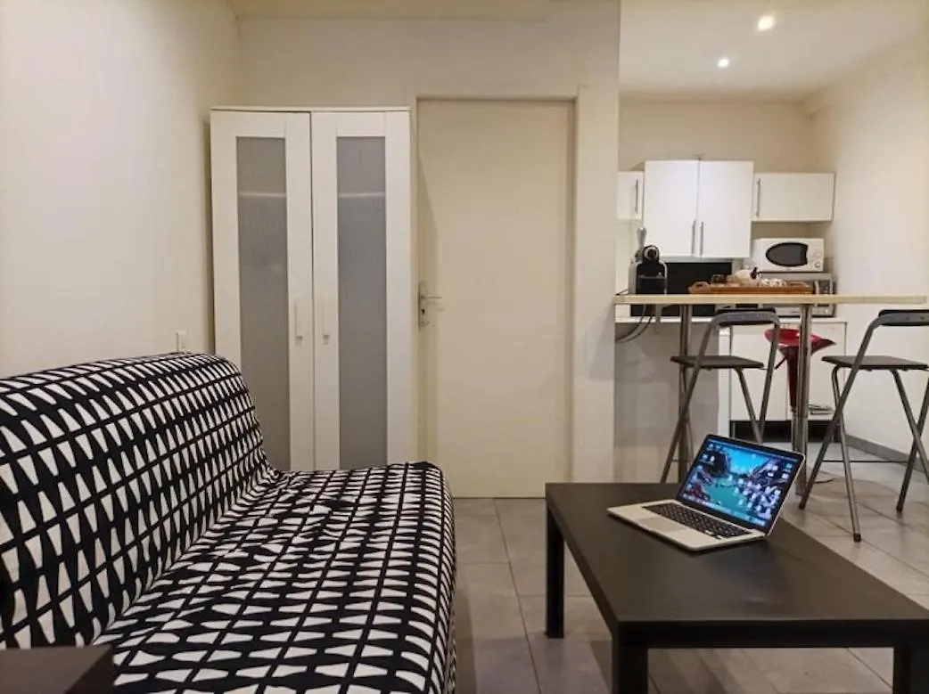 Charmant Studio A La Croix Rousse Avec Patio France