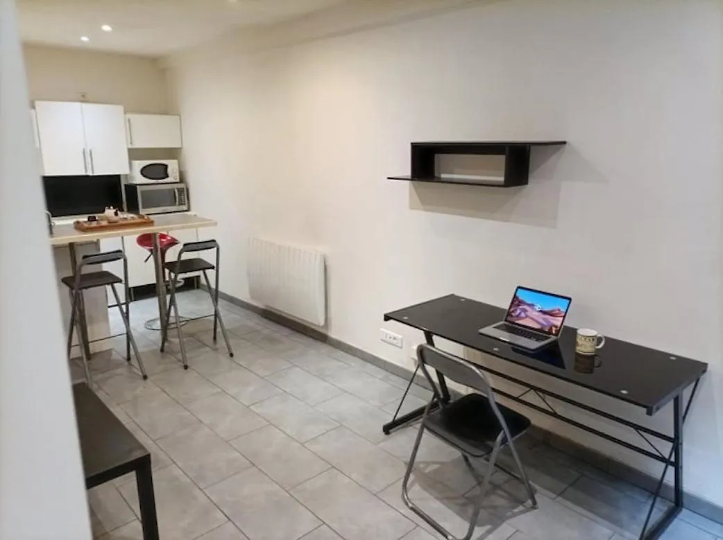 Charmant Studio A La Croix Rousse Avec Patio Apartment Lyon